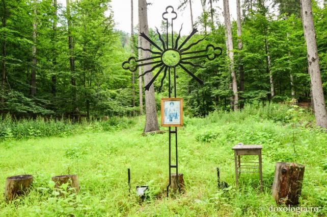 „Poiana Sihaștrilor” sau „Poiana lui Simeon”, aflată la trei kilometri de Mănăstirea Pângărați / Foto: Maria Burlă
