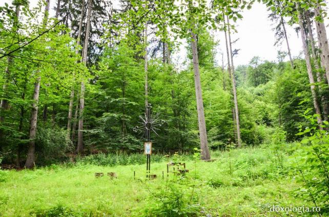 „Poiana Sihaștrilor” sau „Poiana lui Simeon”, aflată la trei kilometri de Mănăstirea Pângărați / Foto: Maria Burlă